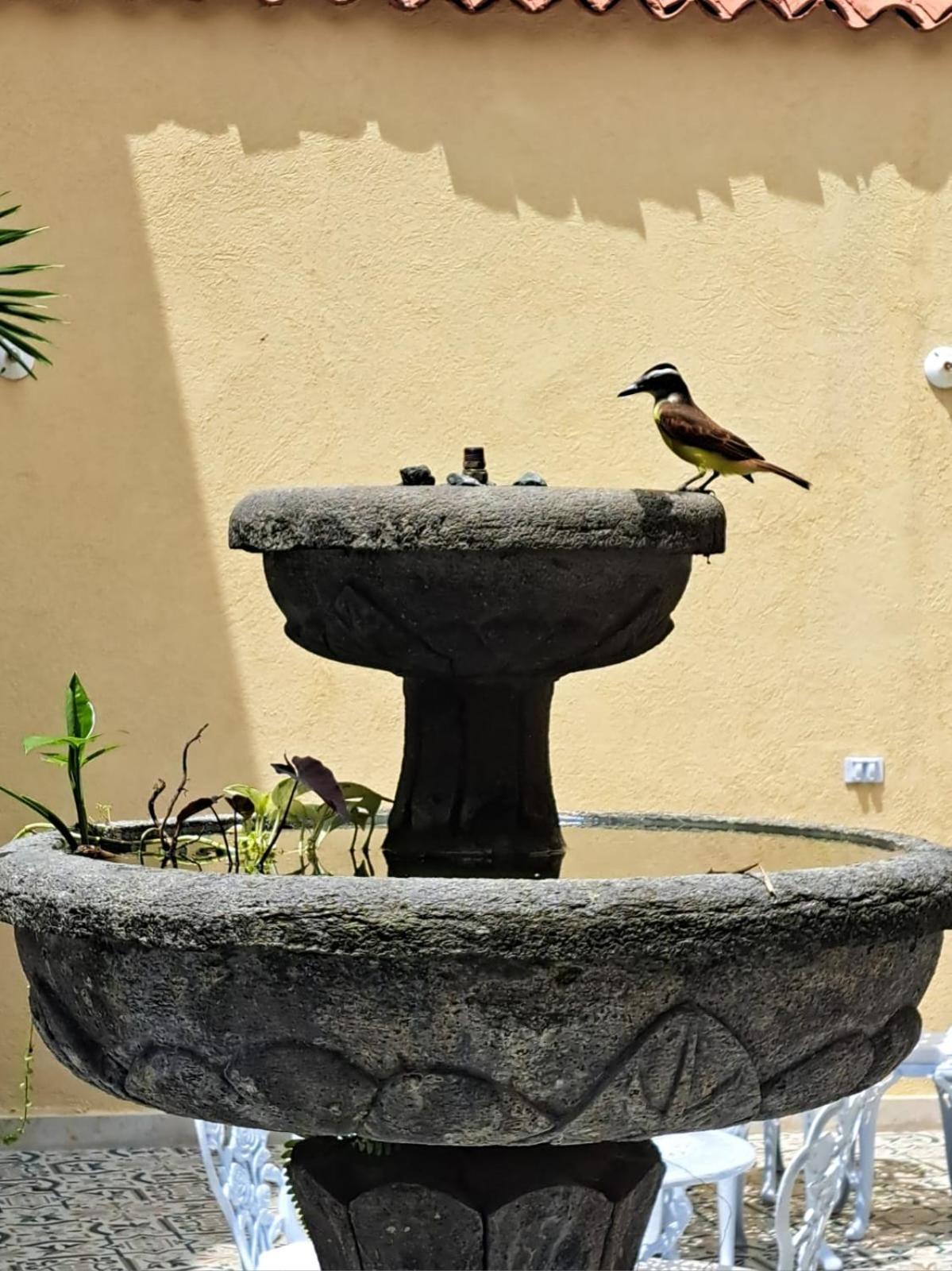 Casa Sileo - Boutique Hotel Cali Bagian luar foto